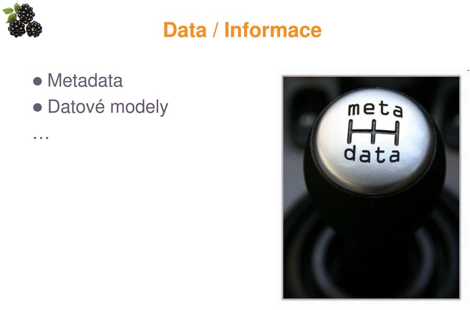 Metadata