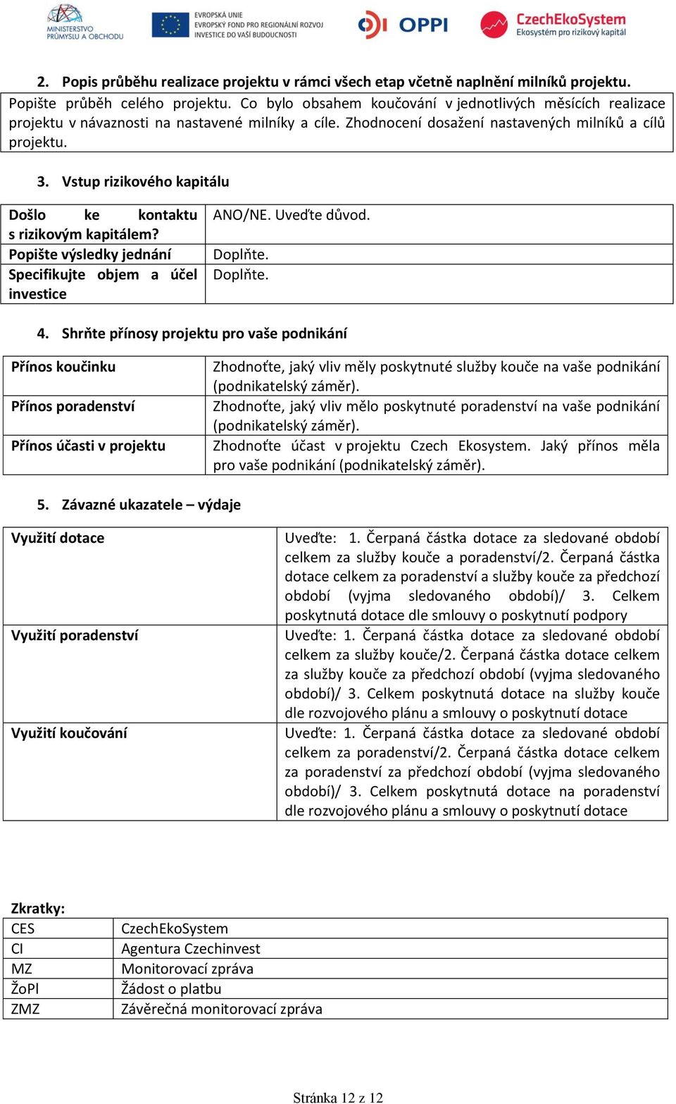 Vstup rizikového kapitálu Došlo ke kontaktu s rizikovým kapitálem? Popište výsledky jednání Specifikujte objem a účel investice ANO/NE. Uveďte důvod. Doplňte. Doplňte. 4.