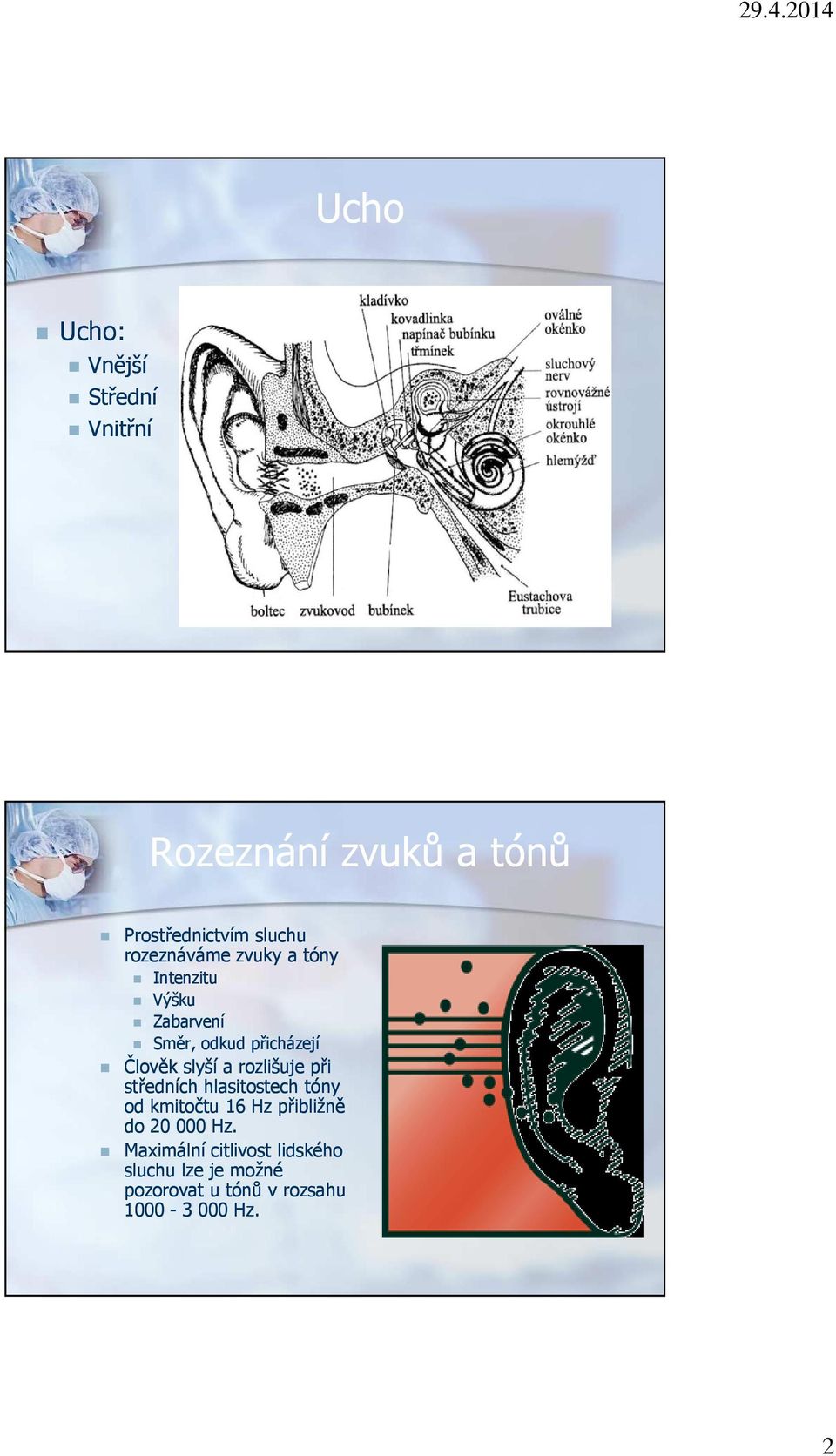 a rozlišuje při středních hlasitostech tóny od kmitočtu 16 Hz přibližně do 20 000 Hz.