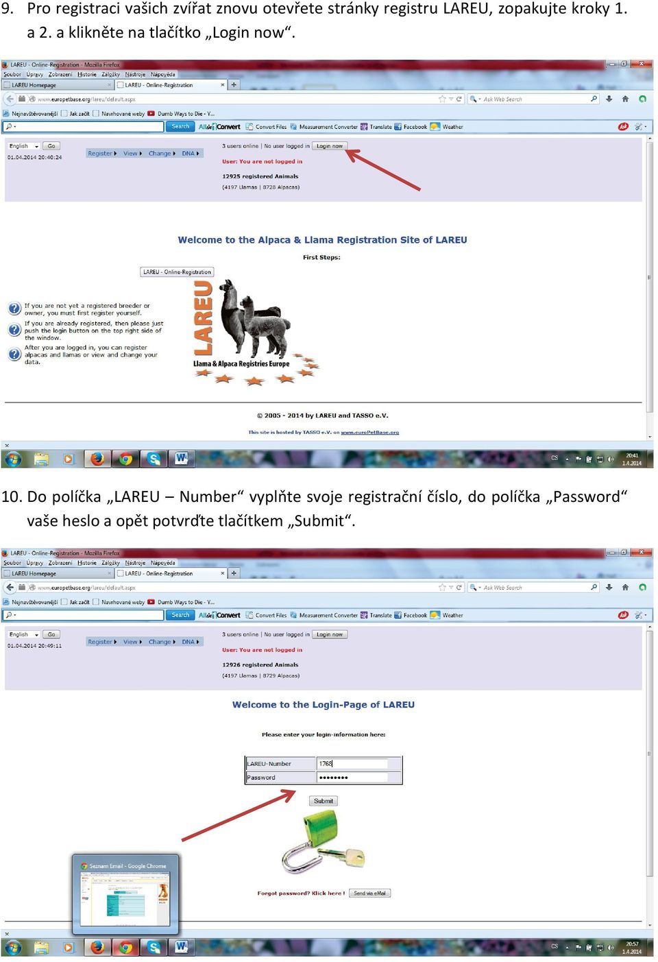 10. Do políčka LAREU Number vyplňte svoje registrační číslo, do