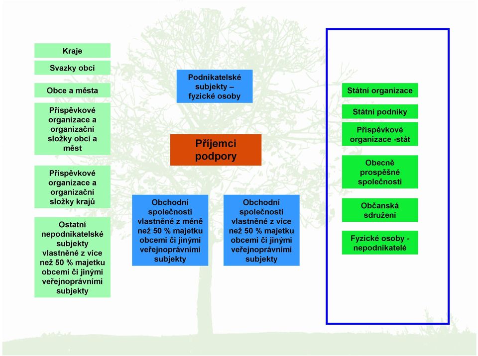 či jinými veřejnoprávními Podnikatelské fyzické osoby Příjemci podpory Obchodní společnosti vlastněné z více než 50 % majetku obcemi či jinými