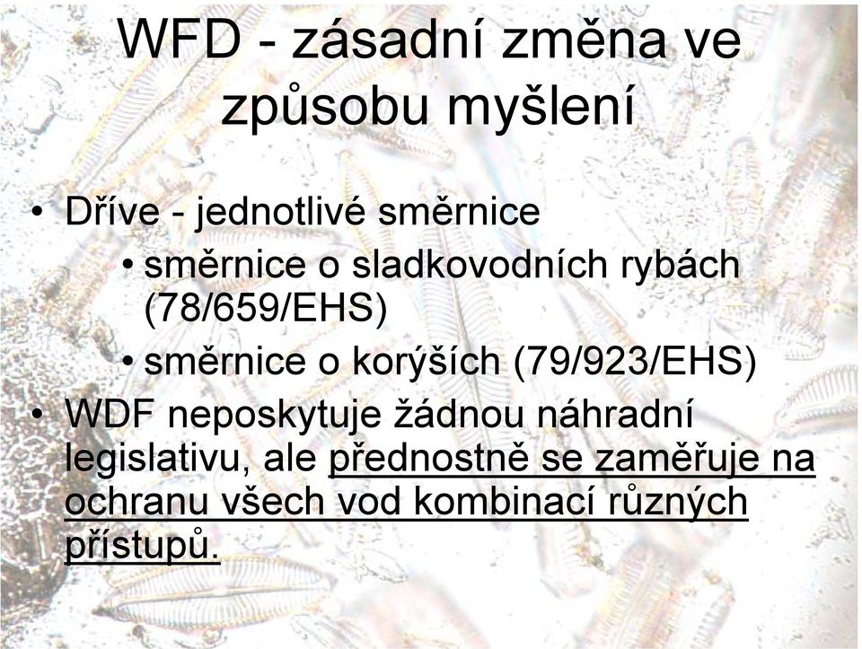 (79/923/EHS) WDF neposkytuje žádnou náhradní legislativu, ale