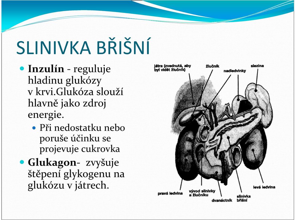 y Při nedostatku nebo poruše účinku se projevuje