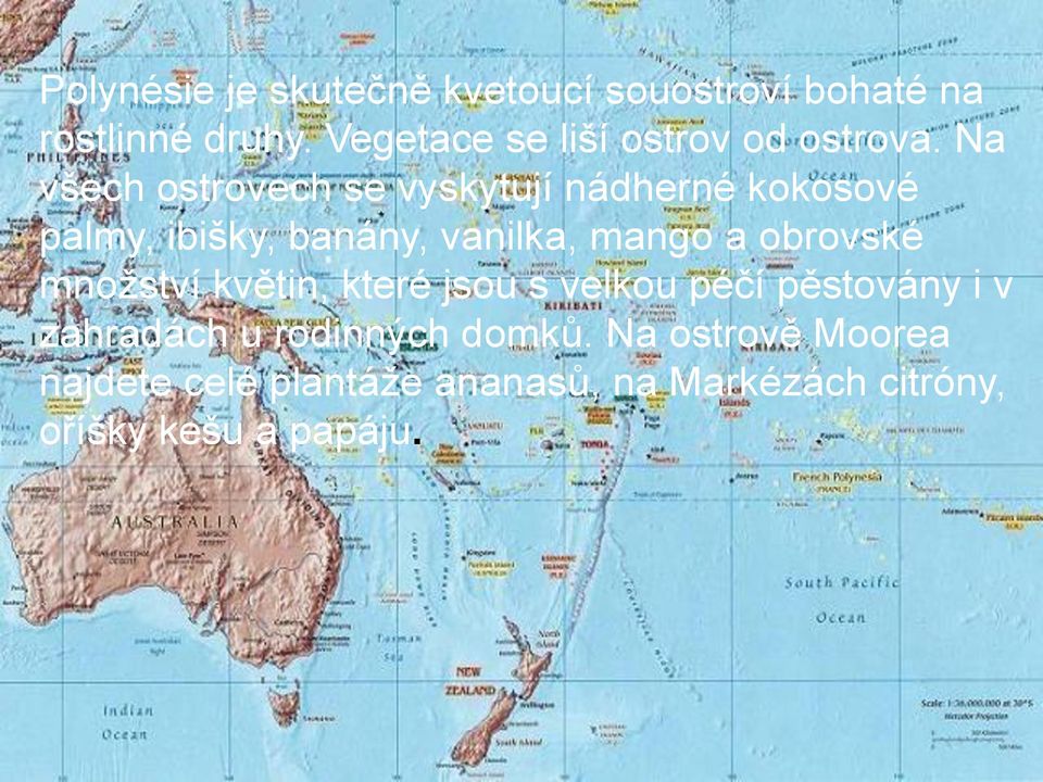 Na všech ostrovech se vyskytují nádherné kokosové palmy, ibišky, banány, vanilka, mango a