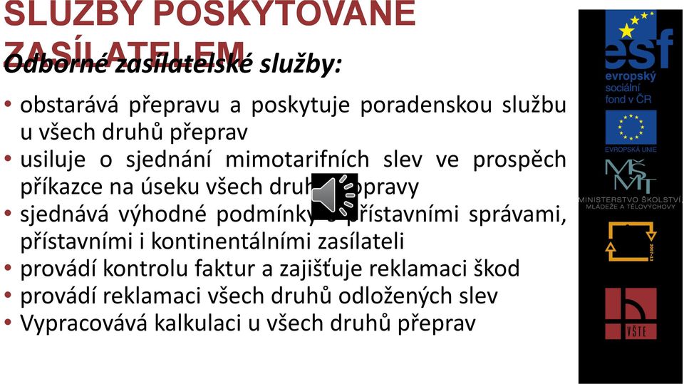 sjednává výhodné podmínky s přístavními správami, přístavními i kontinentálními zasílateli provádí kontrolu