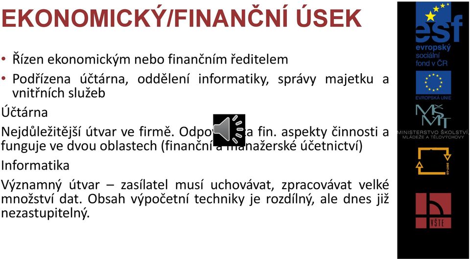 aspekty činnosti a funguje ve dvou oblastech (finanční a manažerské účetnictví) Informatika Významný útvar