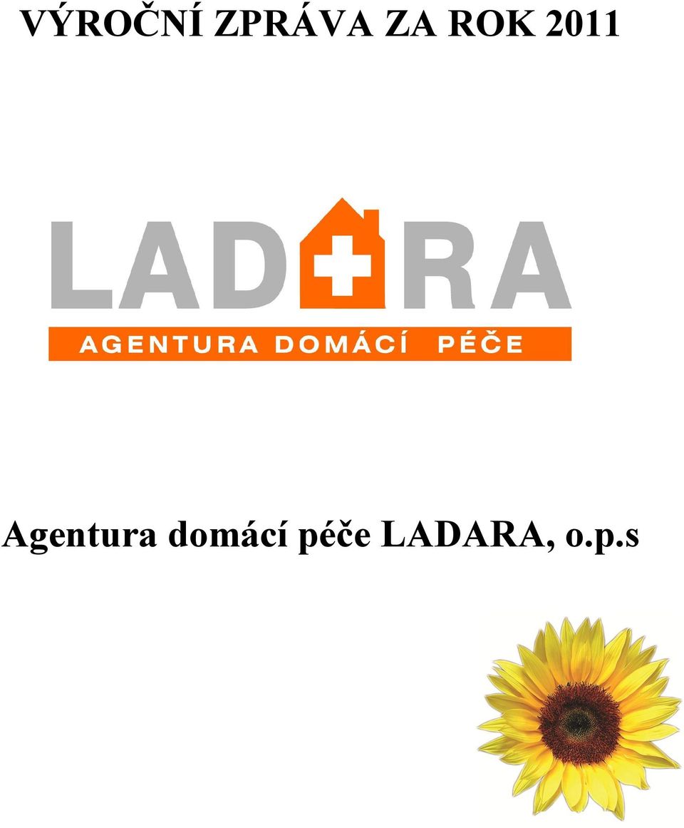 Agentura domácí