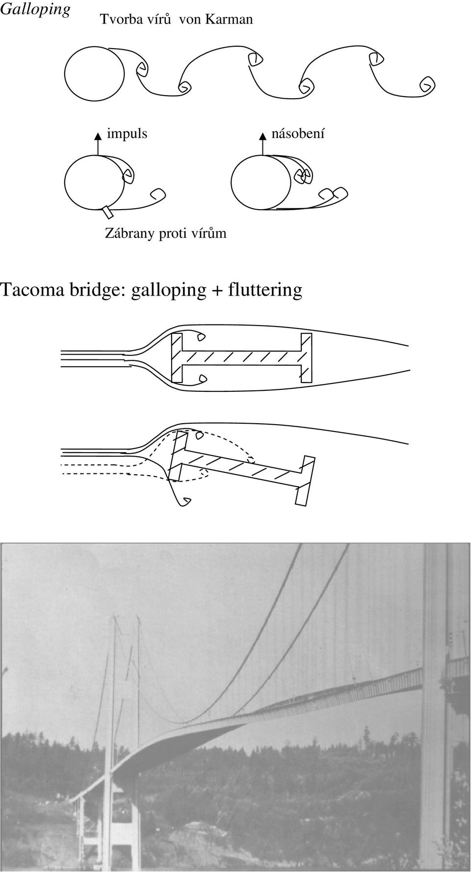 Zábrany proti vírům Tacoma