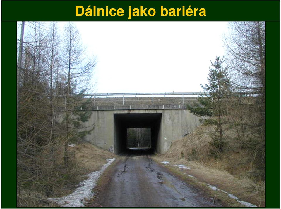 bariéra