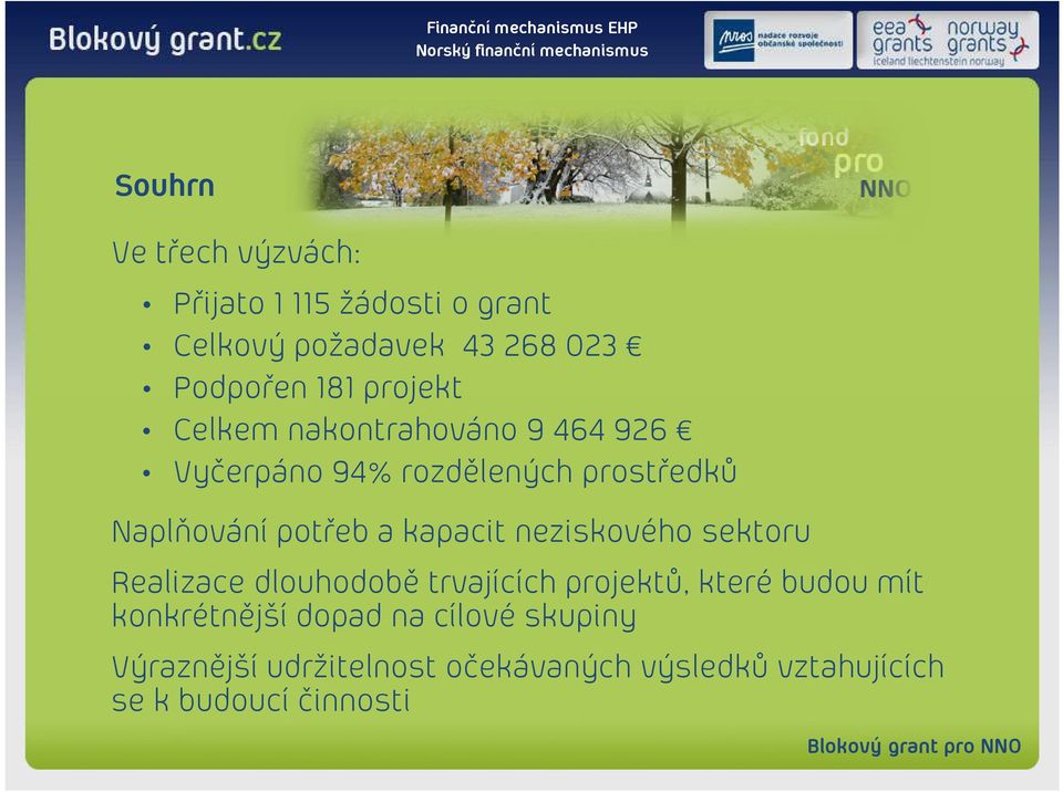 kapacit neziskového sektoru Realizace dlouhodobě trvajících projektů, které budou mít konkrétnější