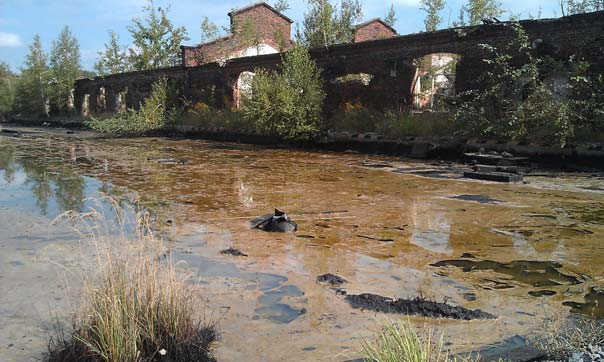 Geologický prieskum životného prostredia geologický prieskum životného prostredia je prieskum, ktorým sa zisťujú a overujú 1.