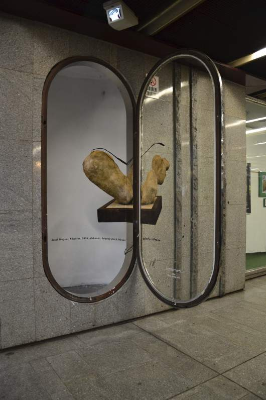Albatros Nika malá galerie VŠUP, 2015 Josef Wágner,