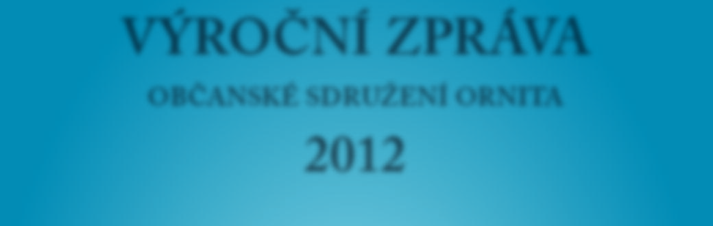 VÝROČNÍ ZPRÁVA