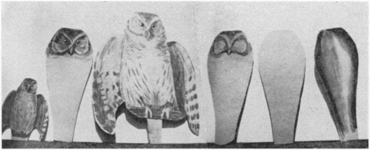 Obr. 2: Atrapy, které používali ve své studii Nice a Pelkwyk (1941). Kromě očí byl jako potencionální klíčový znak testován také zobák. Gill et al.