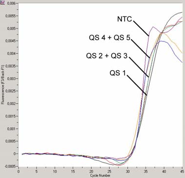 Obr. 6: Průkaz Kvantifikačních standardů (Parvo B19 LC QS 1 5) ve fluorimetrickém kanálu F2/Back-F1. NTC: beztemplátová kontrola (negativní kontrola). Obr.