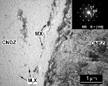 A c1 a dochází k postupnému nahrazování karbidu M 23 C 6 (M=Cr, Fe, Mo) karbonitridem chrómu, s obecným označením M 2 X. Fáze M 2 X je na povrchu oceli P91+N stabilní do teploty 1050 1070 C. Obr. 7.