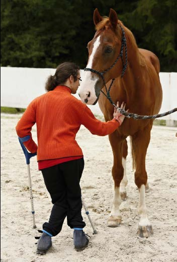 Hiporehabilitace Terapie prostřednictvím koní patří mezi nejúčinnější komplexně působící terapie komplexní rehabilitační péče.