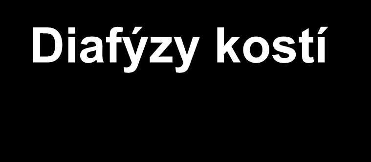 Diafýzy kostí - hřebování - přemostění