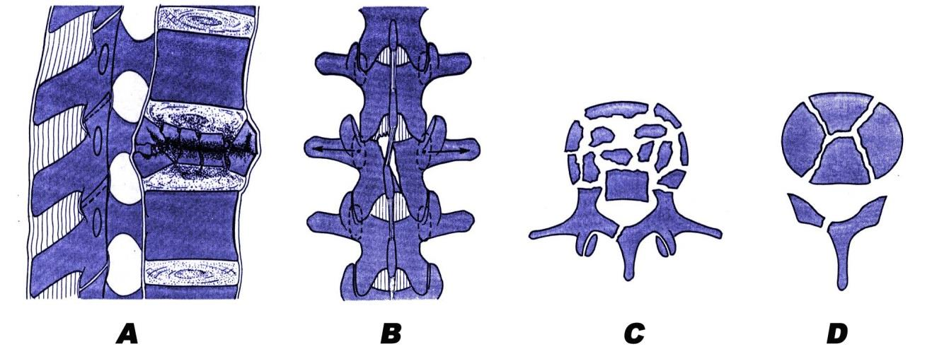 A1.3 A3.1.1 A3.