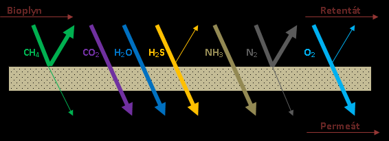 Obr. 2: Modul s dutými vlákny [] Membránová separace bioplynu V případě bioplynu dochází k separaci složek dle Obr.