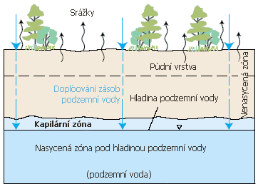 A. Půdní druh Ovlivňuje fyzikální vlastnosti půdy, absorpční schopnost stav živin v půdě, poměr vody a vzduchu v