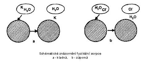 Sorpční komplex Půdní sorpční komplex je soubor půdních koloidů, které se podílejí na výměnných reakcích.