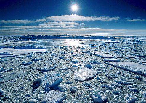 Polárn rní pustiny výskyt, podnebí oblast severního pólu = Arktida oblast