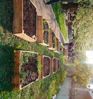 ZAHRADY Komunitní zahrada Vidimova Před dvěma lety vznikla komunitní zahrada uprostřed sídliště.