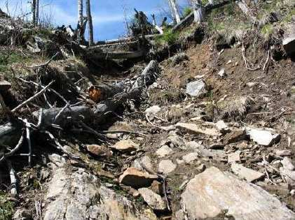 Mury jsou častým jevem v kontinentálním až semiaridním klimatu a ve velehorách (Rubín - Balatka et al.