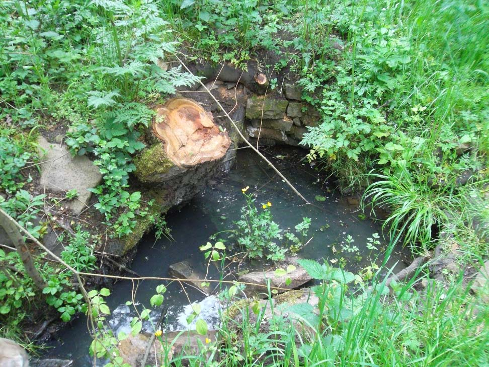 Studánky jako přirozený zdroj vody pro zvěř a ptactvo