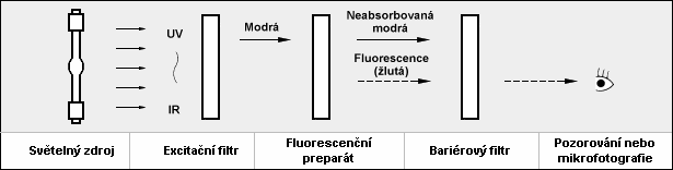 1. Světelný zdroj: Ze světelného zdroje vychází světlo s různými vlnovými délkami od UV po IR. 2.