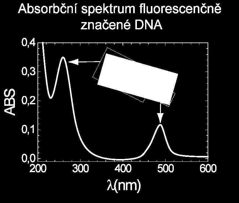 Zhášení fluorescence Zhášení fluorescence lze definovat jako bimolekulární proces, který snižuje kvantový výtěžek fluorescence beze změny fluorescenčního emisního spektra.