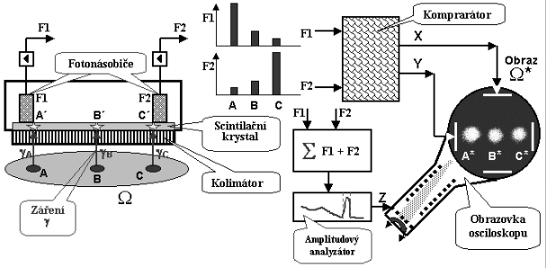 1.4.2 Scintilační kamery Pro scintigrafické vyšetření, tj. zobrazování (vizualizaci) distribuce radiofarmaka v těle, se používá scintilační kamera (nazývaná též Angerova kamera po svém vynálezci am.