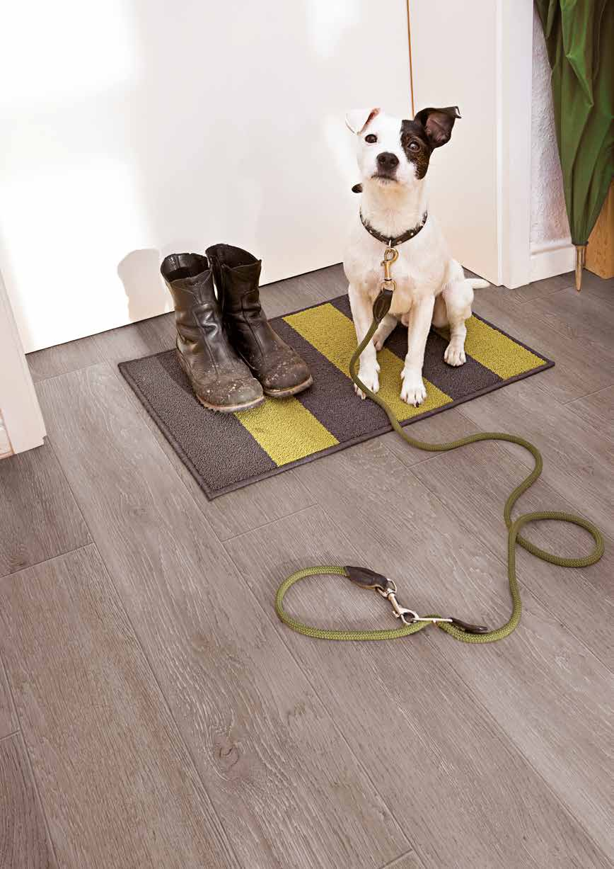 floors @home NO PTHALATES B E Z ECO F TA L ÁT