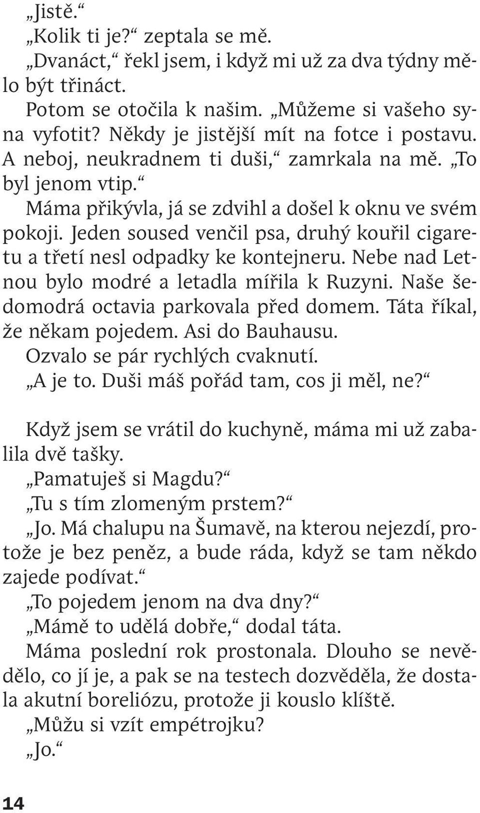 Jeden soused venčil psa, druhý kouřil cigaretu a třetí nesl odpadky ke kontejneru. Nebe nad Letnou bylo modré a letadla mířila k Ruzyni. Naše šedomodrá octavia parkovala před domem.