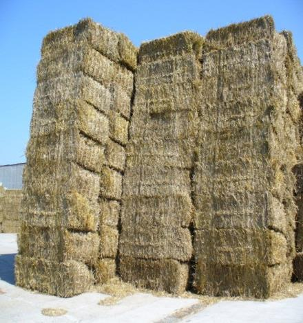 Spotřeba paliv v rámci SZTE Rok 2015 Výroba tepla celkem: 354 810 GJ Výroba tepla čistě z biomasy: 308.