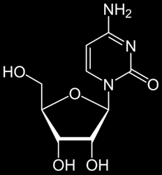 Nukleosid je sloučenina pentosy (ribosy nebo deoxyribosy) a heterocyklické base.