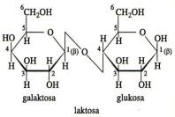 Vysoká škola chemicko-technologická v Praze Fakulta potravinářské a biochemické technologie Ústav konzervace potravin VYUŽITÍ A LIKVIDACE ODPADŮ ZEMĚDĚLSKO- POTRAVINÁŘSKÉHO KOMPLEXU (N324009) Ing.