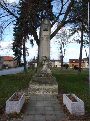 5 borovice vejmutovka Pinus strobus 6 tis červený Taxus baccata 7 zerav západní kultivar Thuja occidentalis 8 zerav západní kultivar Thuja occidentalis 9 zerav západní kultivar Thuja occidentalis 10