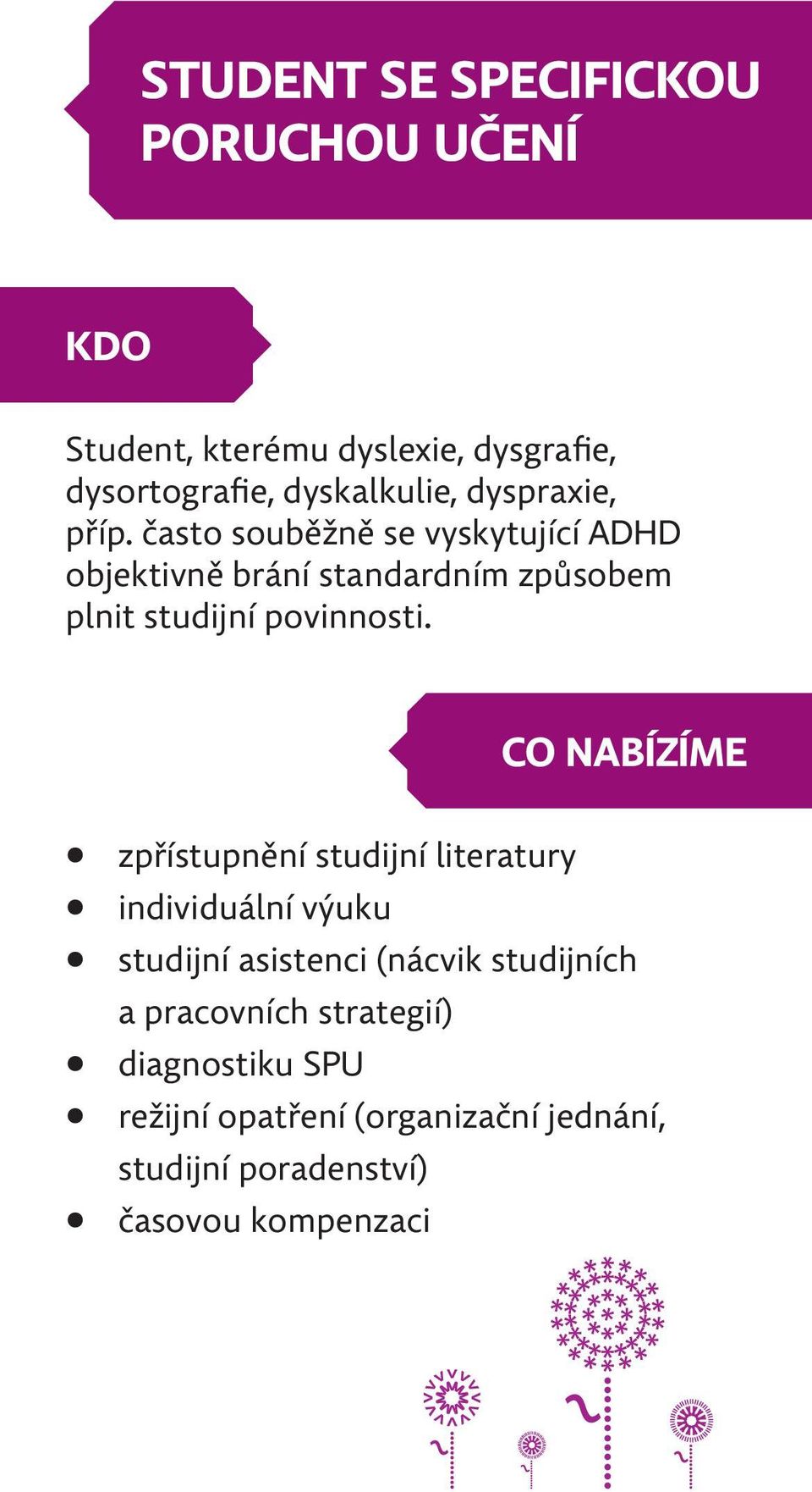 často souběžně se vyskytující ADHD objektivně brání standardním způsobem plnit studijní povinnosti.