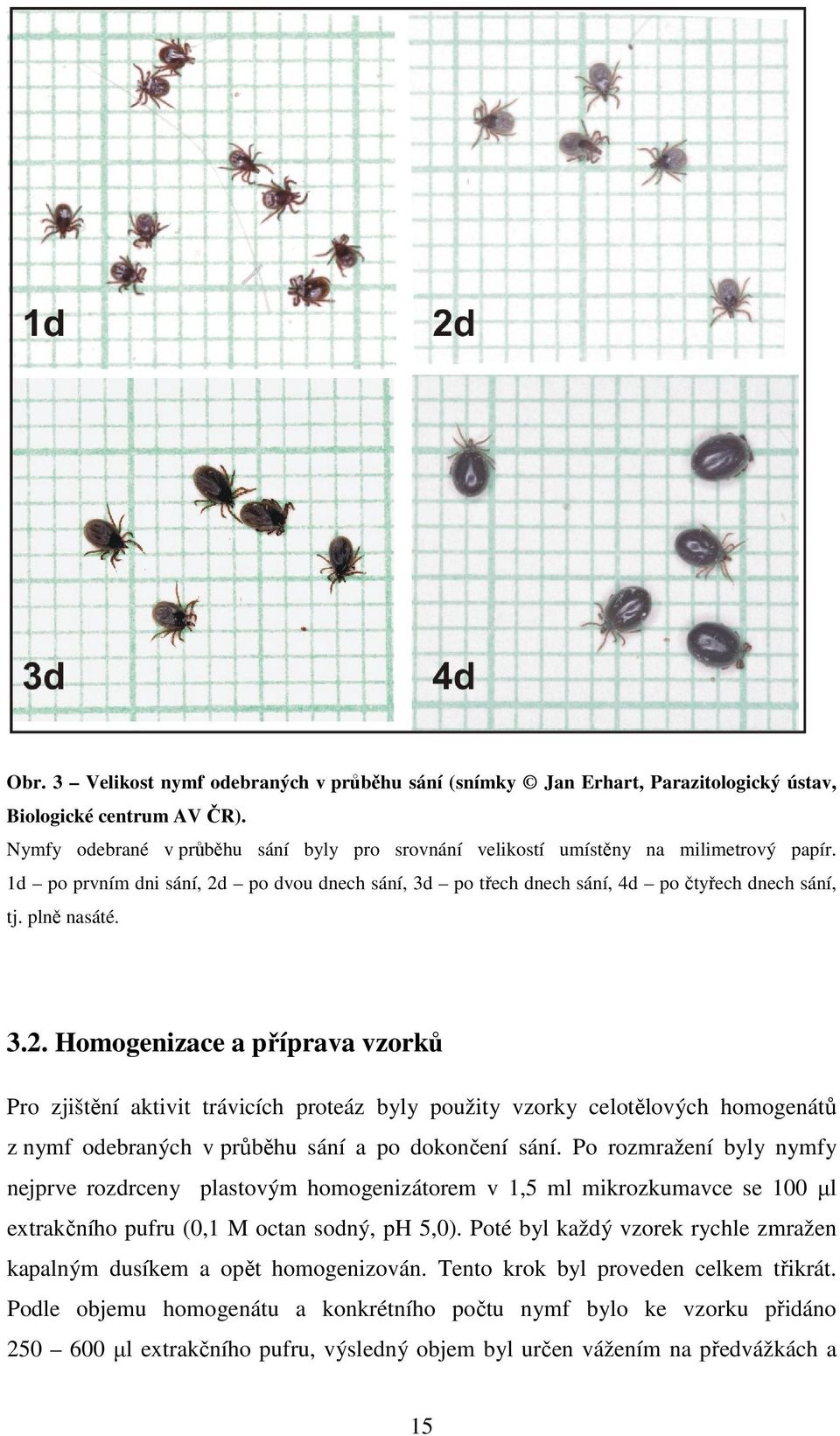 plně nasáté. 3.2. Homogenizace a příprava vzorků Pro zjištění aktivit trávicích proteáz byly použity vzorky celotělových homogenátů z nymf odebraných v průběhu sání a po dokončení sání.