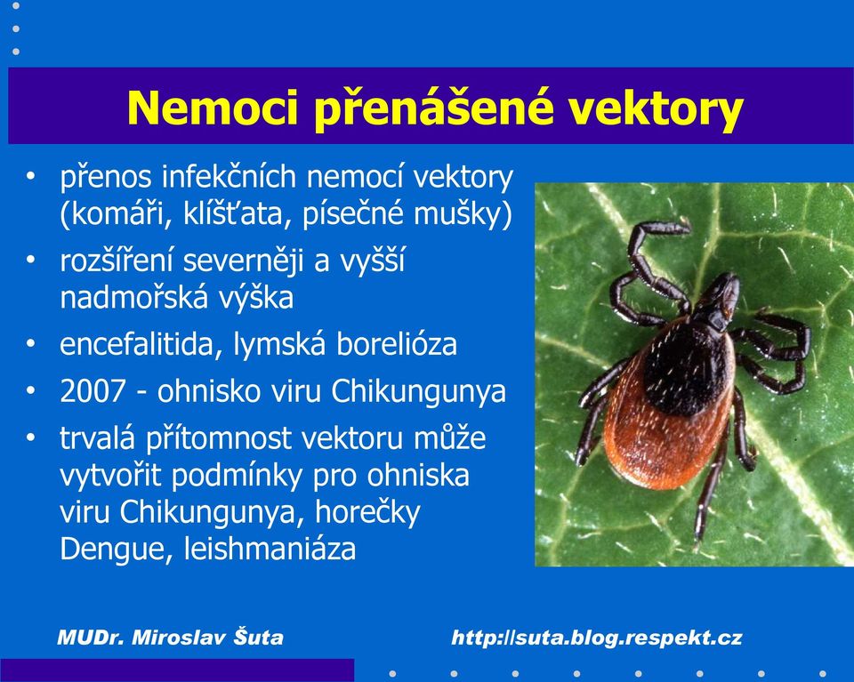 lymská borelióza 2007 - ohnisko viru Chikungunya trvalá přítomnost vektoru