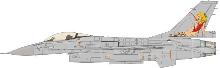 Limitovaná edice F-16AJ v měřítku 1/48 využívá plastikových dílů stavebnice Kinetic. Výraznou přidanou hodnotu modelu dodávají vylepšení Eduardu ve formě resinových dílů, fotoleptů a obtiskové sady.
