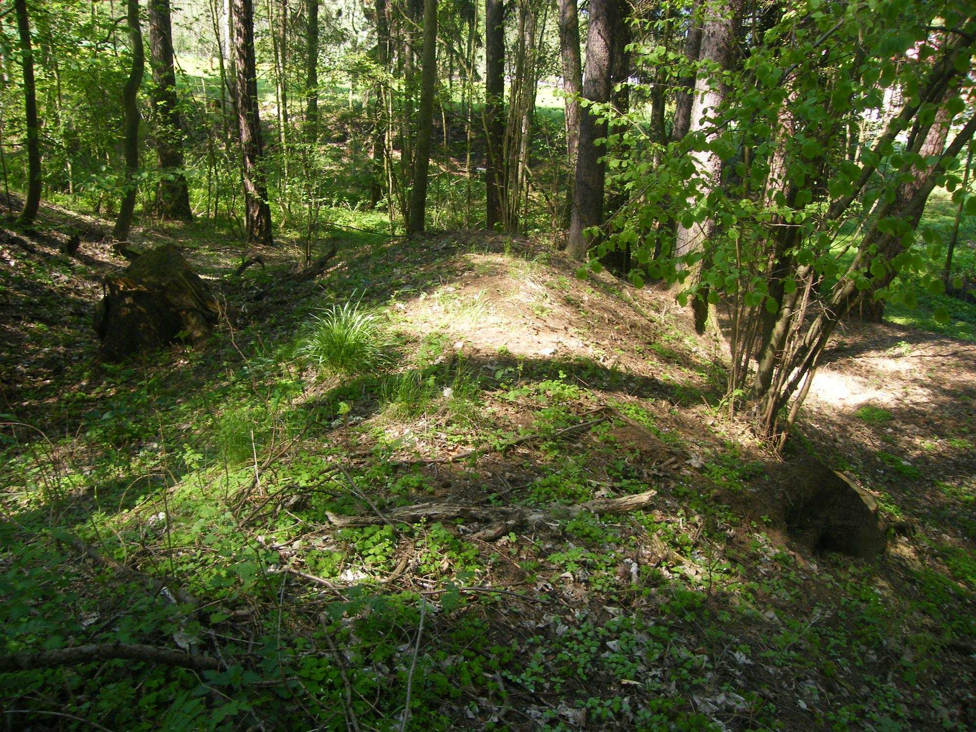 Pravd podobný první p íkop na severní stran areálu. Detail t etího p íkopu i parkánu, sever lokality. jižní val a severní vnit ní obvodové opevn ní je spojovací ást opevn ní zaniklá.