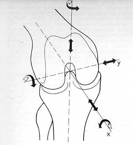 2. Biomechanika kolenního kloubu Obr. 5 Idealizované osy pohybů v kolenním kloubu (Čech, Sosna, Bartoníček, Poranění vazivového aparátu kolenního kloubu.