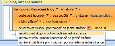 Podrobnosti seskupení a řazení Podle celé hodnoty lze seskupovat i podle části hodnoty Bez součtů lze počítat záznamy nebo hodnoty, připojovat celkový součet i % podíly