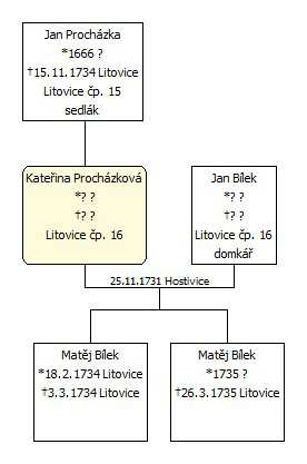 Ulice K Rybníku 14 Historické domky v ulici Dům čp. 636 (dříve litovické čp. 16) Parcelní číslo původní: PK st. 25, k. ú. Litovice Parcelní číslo současné: KN st. 25/1, k. ú. Litovice Historie domu čp.