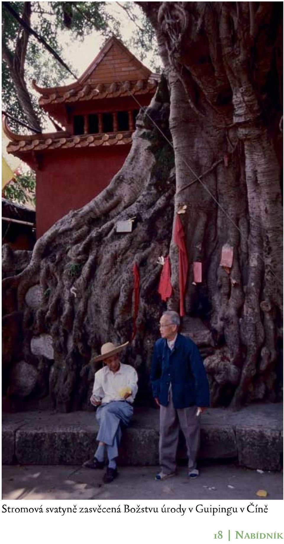 úrody v Guipingu