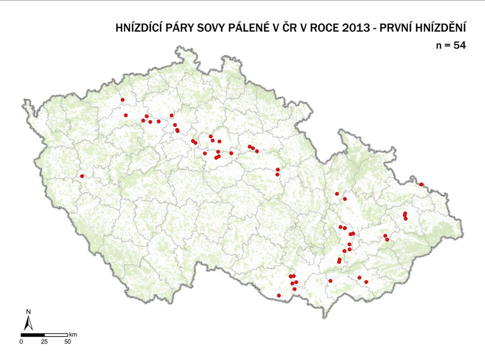 Zpravodaj