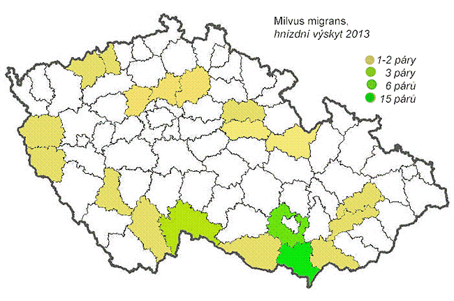 Zpravodaj SOVDS (): Luňák hnědý (Milvus migrans) Vladimír GAHURA spolupracovali: Tomáš BĚLKA, Václav BERAN, Dušan BOUCNÝ, Bedřich FORMAN, Lukáš KADAVA, Bedřich LANDSFELD, Karel MAKOŇ, Hynek MATUŠÍK,